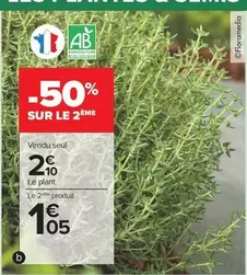 Le Plant offre à 2,1€ sur Carrefour