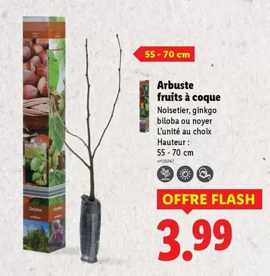 Arbuste Fruits À Coque offre à 3,99€ sur Lidl