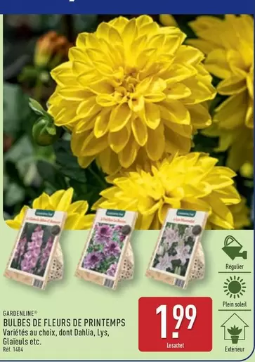 Gardenline - Bulbes De Fleurs De Printemps offre à 1,99€ sur Aldi