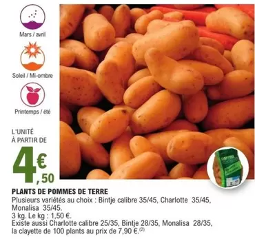 Mars - Plants De Pommes De Terre offre à 4,5€ sur E.Leclerc