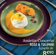 Rose & Tulipani - Assiette Concerto  offre à 8,9€ sur Ambiance & Styles