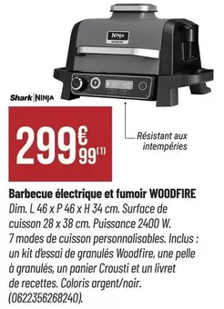 Ninja - Barbecue Électrique Et Fumoir Woodfire offre à 299,99€ sur Bricorama