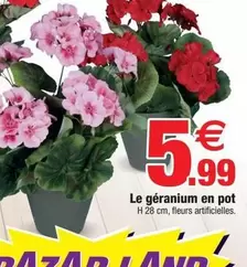 Le Géranium En Pot offre à 5,99€ sur Bazarland