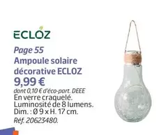 Eclóz - Ampoule Solaire Décorative offre à 9,99€ sur Jardiland