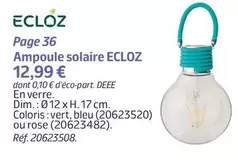 Eclóz - Ampoule Solaire  offre à 12,99€ sur Jardiland