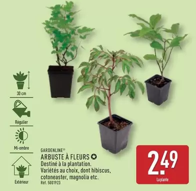 Gardenline - Arbuste À Fleurs offre à 2,49€ sur Aldi