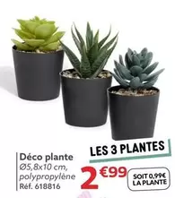 Déco Plante offre à 2,99€ sur Gifi