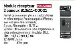 Module Récepteur Nouveau 2 Canaux S13611-00001 offre sur Gedimat