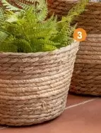 Set De 3 Pots De Fleurs offre à 12,99€ sur B&M