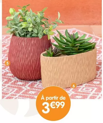 Pot De Fleurs  offre à 3,99€ sur B&M