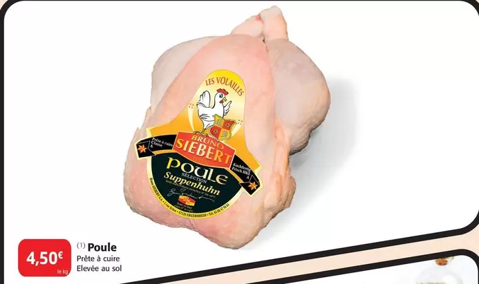 Siebert - Poule offre à 4,5€ sur Colruyt