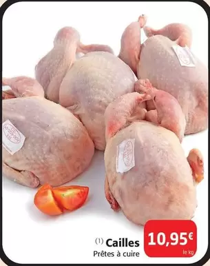 Cailles offre à 10,95€ sur Colruyt