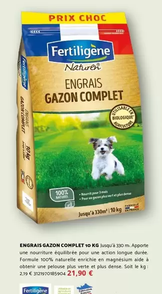 Fertiligène - Gazon Complet offre à 2,19€ sur Bricomarché