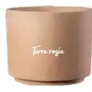 Tene Rosée offre sur Bricomarché