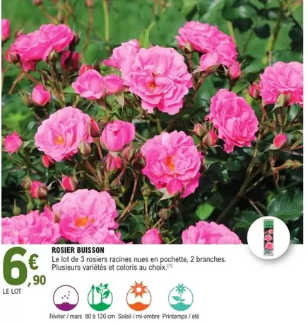 Mars - Rosier Buisson offre à 6,9€ sur E.Leclerc Jardi