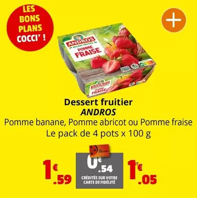 Andros - Dessert Fruitier offre à 1,05€ sur Coccinelle Supermarché