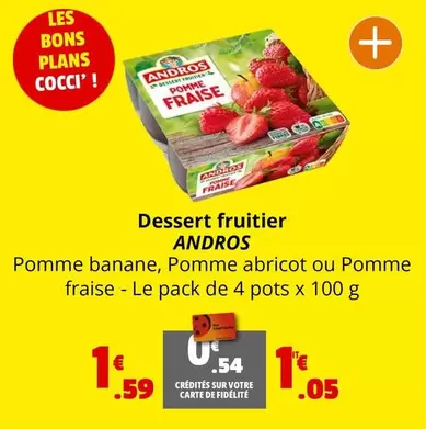 Andros - Dessert Fruitier offre à 1,05€ sur Coccinelle Express