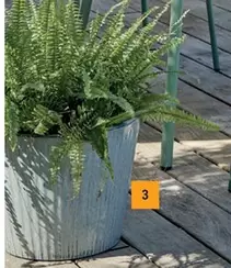 Eclóz - Pot «Fuji»  offre à 34,99€ sur Gamm vert
