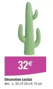 Décoration Cactus offre à 32€ sur Cora