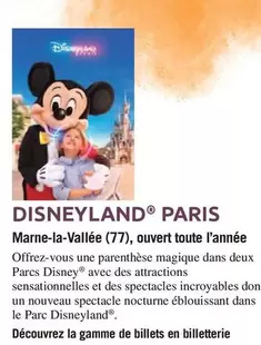  Disneyland® Paris  Marne-la-Vallée (77), Ouvert Toute L'année  offre sur Carrefour