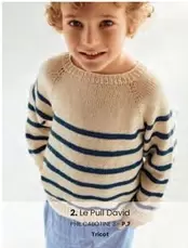 Le Pull David The Cabotine offre sur Phildar