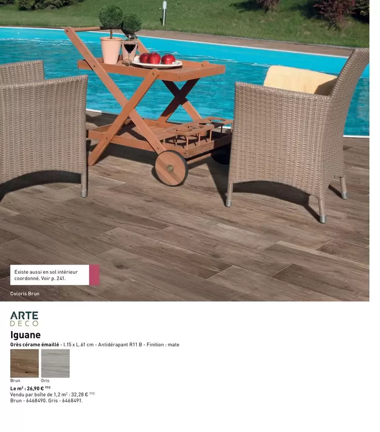 Iguane offre à 26,9€ sur Point P