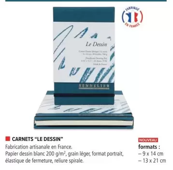 Carnets "Le Dessin" offre sur Le Géant des Beaux-Arts