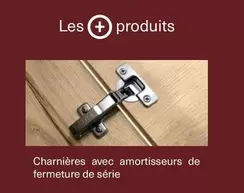 Charnières Avec Amortisseurs De Fermeture De Série offre sur Richardson