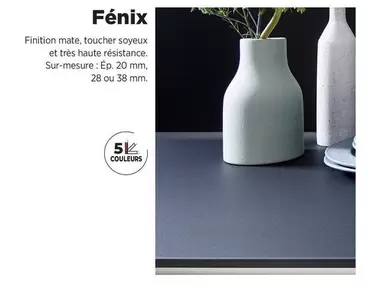 Fénix offre sur Lapeyre