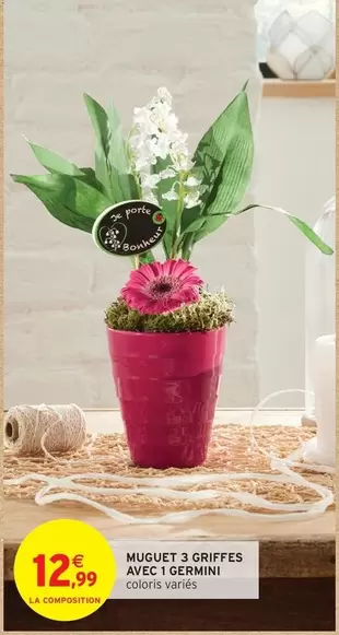 Muguet 3 Griffes Avec 1 Germini offre à 12,99€ sur Intermarché Hyper