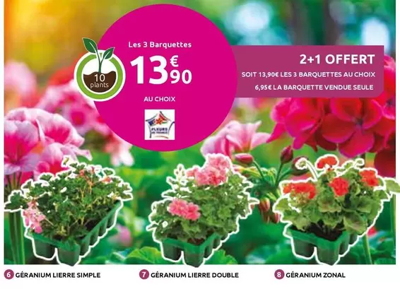 Giganum Lierre Simple offre à 13,9€ sur Mr Bricolage