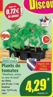 Plants De Tomates offre à 4,29€ sur Norma