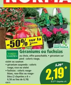 Géraniums Ou Fuchsias offre à 4,39€ sur Norma