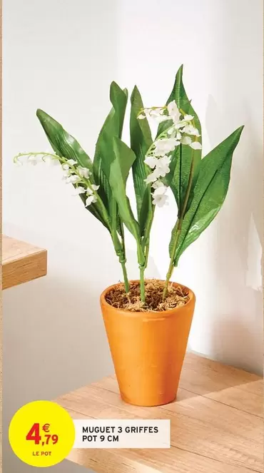 Muguet 3 Griffes Pot offre à 4,79€ sur Intermarché