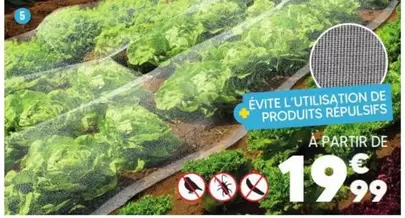 Filet anti-Insectes 3x6m offre à 19,99€ sur Shopix