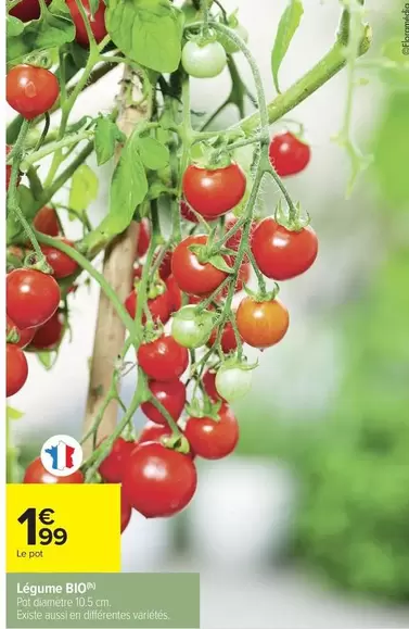 Légume BIO offre à 1,99€ sur Carrefour Market