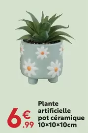 Plante Artificielle  Pot Céramique  offre à 6,99€ sur Maxi Bazar