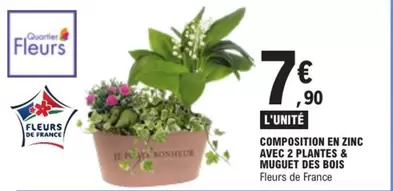 Composition En Zinc Avec 2 Plantes & Muguet Des Bois offre à 7,9€ sur E.Leclerc