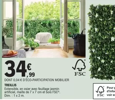 Treillis offre à 34,99€ sur E.Leclerc