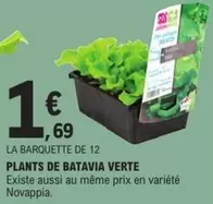 Plants De Batavia Verte offre à 1,69€ sur E.Leclerc