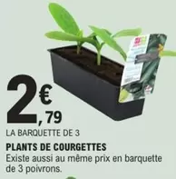 Plants De Courgettes offre à 2,79€ sur E.Leclerc