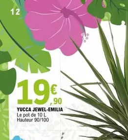 Yucca Jewel-Emilia offre à 19,9€ sur E.Leclerc