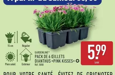 Pack De 6 Cillets Dianthus offre à 5,99€ sur Aldi