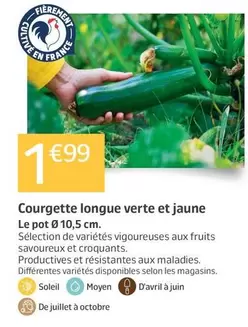Courgette Longue Verte Et Jaune offre à 1,99€ sur Jardiland