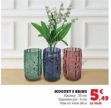 Muguet 5 Brins offre à 5,49€ sur Bi1