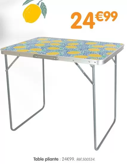 Table Pliante offre à 24,99€ sur B&M
