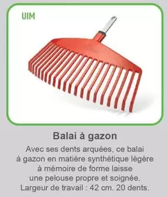 Balai À Gazon offre sur Mr Bricolage