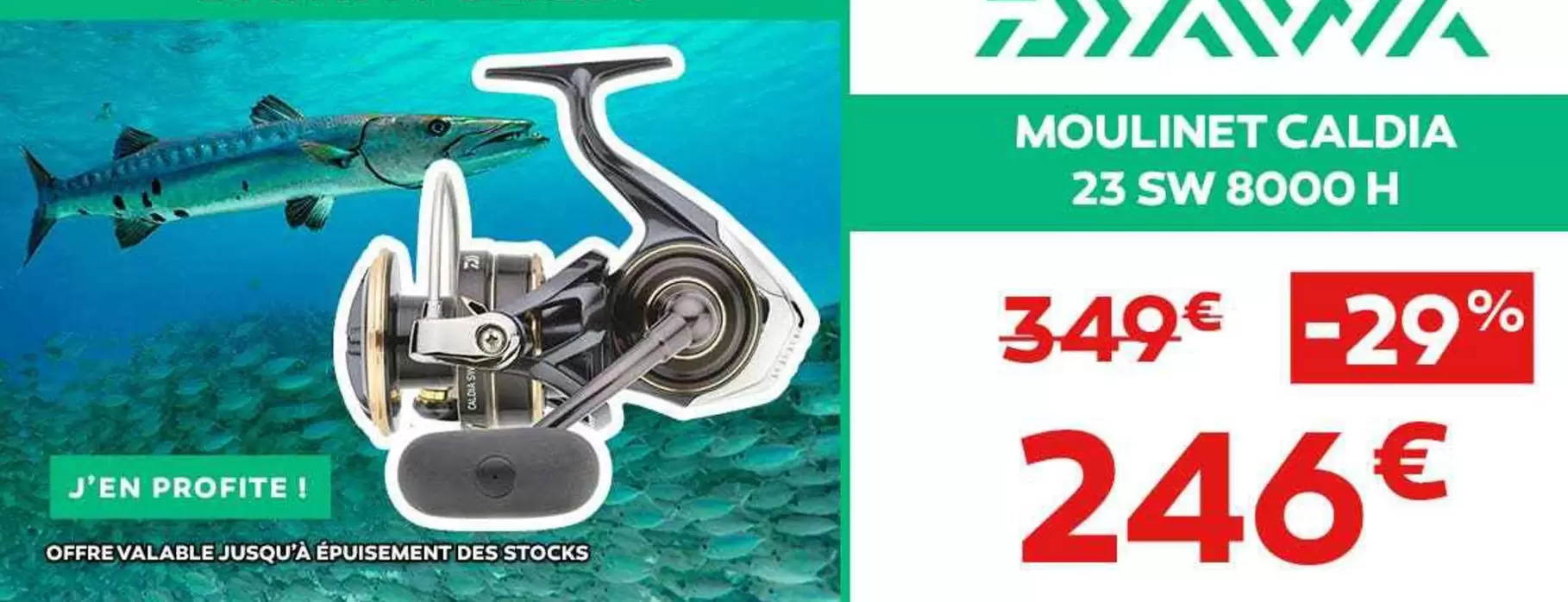 Daiwa - Moulinet Caldia 23 SW 8000 H offre à 246€ sur Cabesto