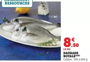 Daurade Royale offre à 8,5€ sur Hyper U
