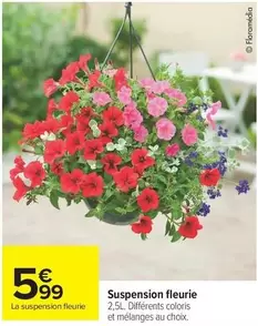 Suspension Fleurie offre à 5,99€ sur Carrefour City